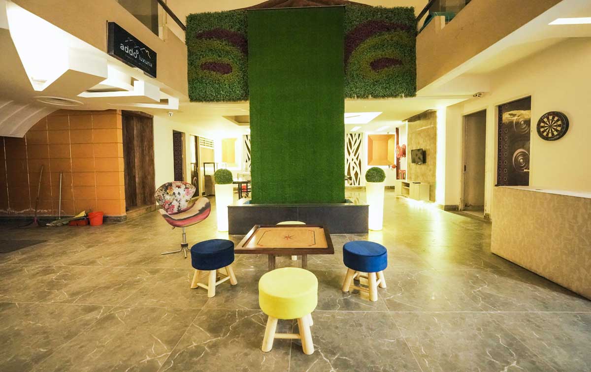 Orchid by Hive (Male)